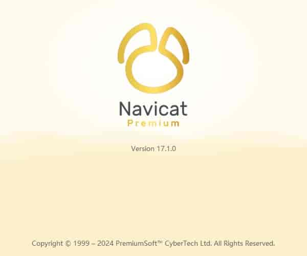 Navicat Premium 17.1最新官方版