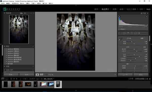 Adobe Lightroom Classic 2022 V11【图片后期处理软件】中文免激活版免费下载