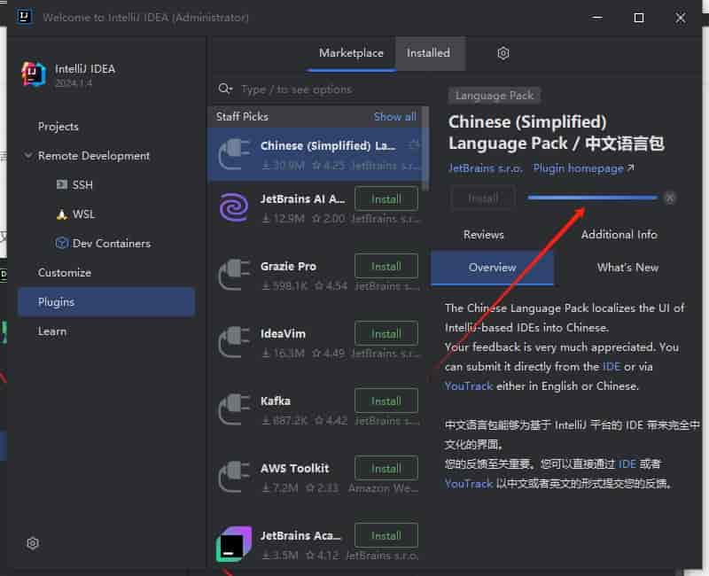 IntelliJ IDEA 2024.1.4（永久激活）最新开心版安装图文教程